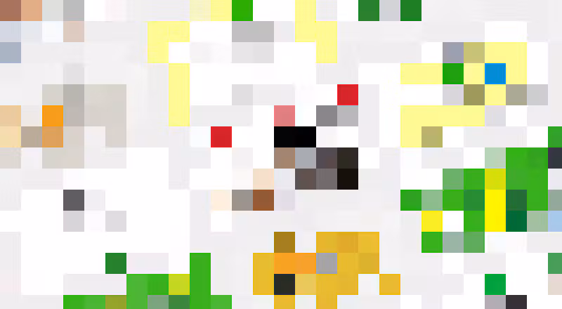 Gallery image undefined