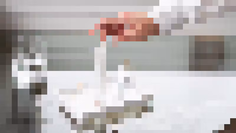 Gallery image undefined