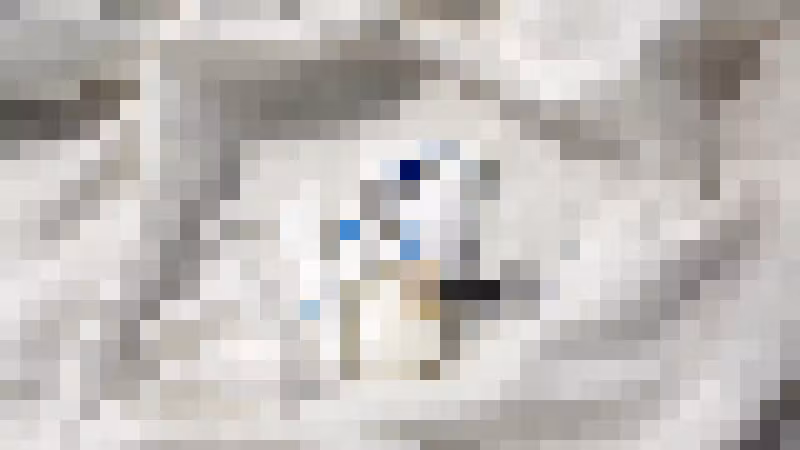 Gallery image undefined