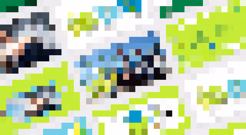 Gallery image undefined