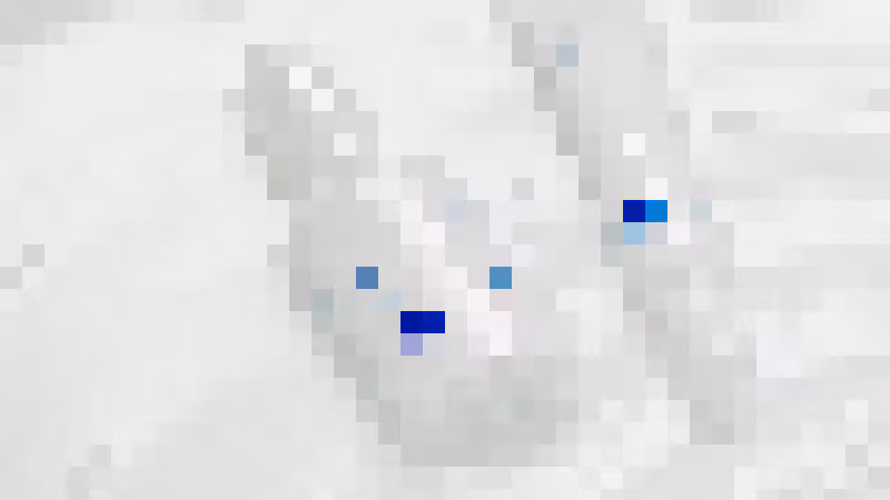 Gallery image undefined